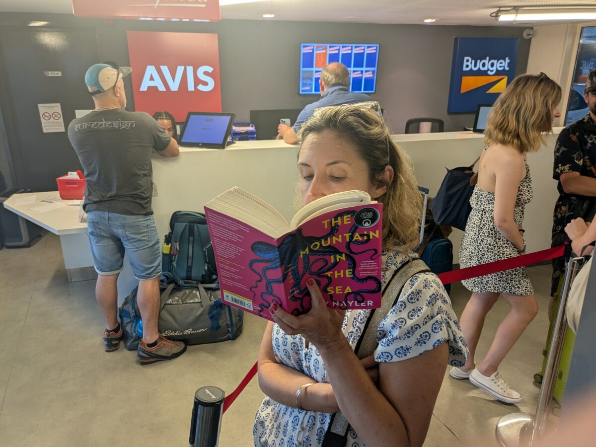 THE MOUNTAIN AND THE SEA by Ray Nayler