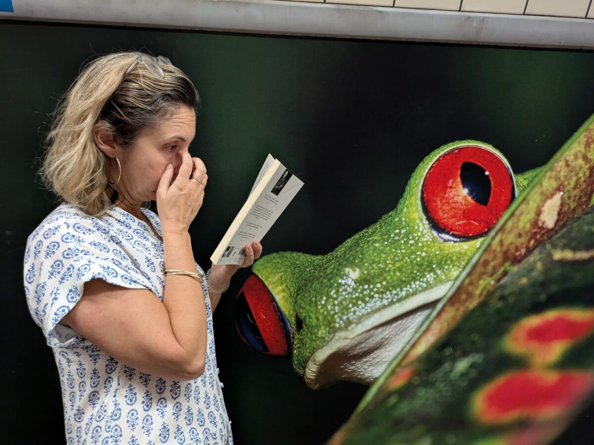 LOVE AND SUMMER by William Trevor