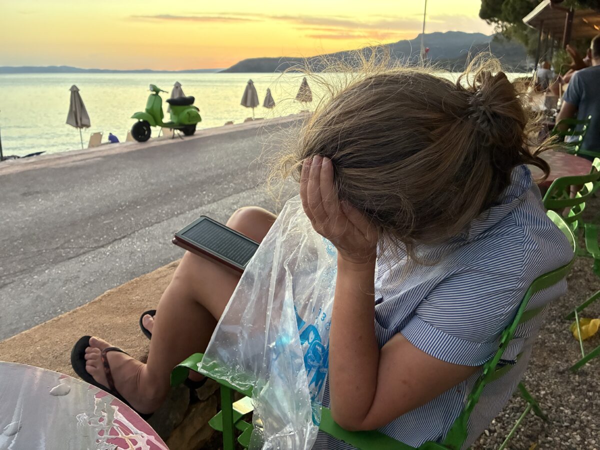 MARTIN DRESSLER by Steven Millhauser