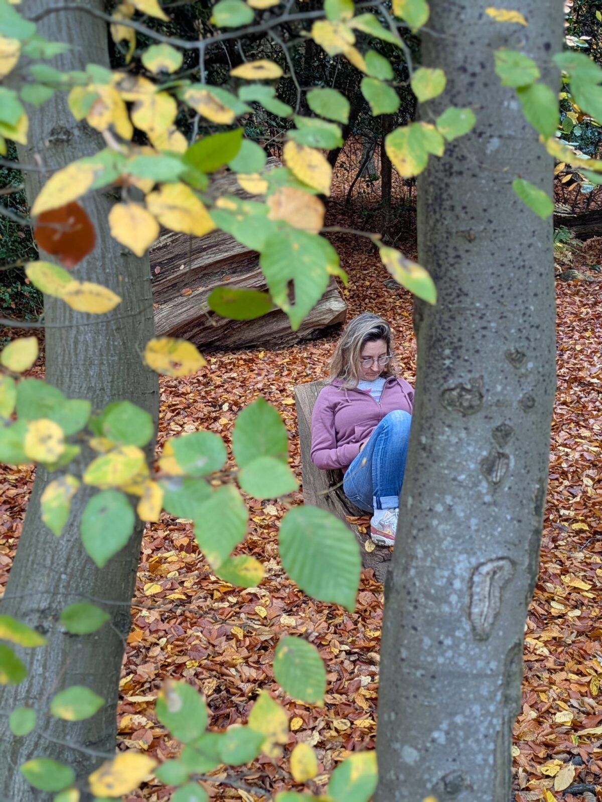 BUCKEYE by Patrick Ryan