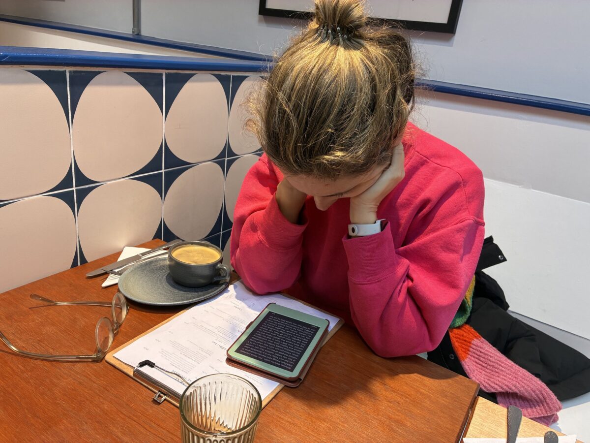 THE PIANO TEACHER by Elfriede Jelinek