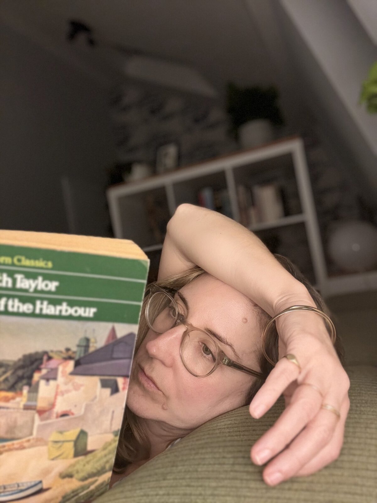 A VIEW OF THE HARBOUR by Elizabeth Taylor