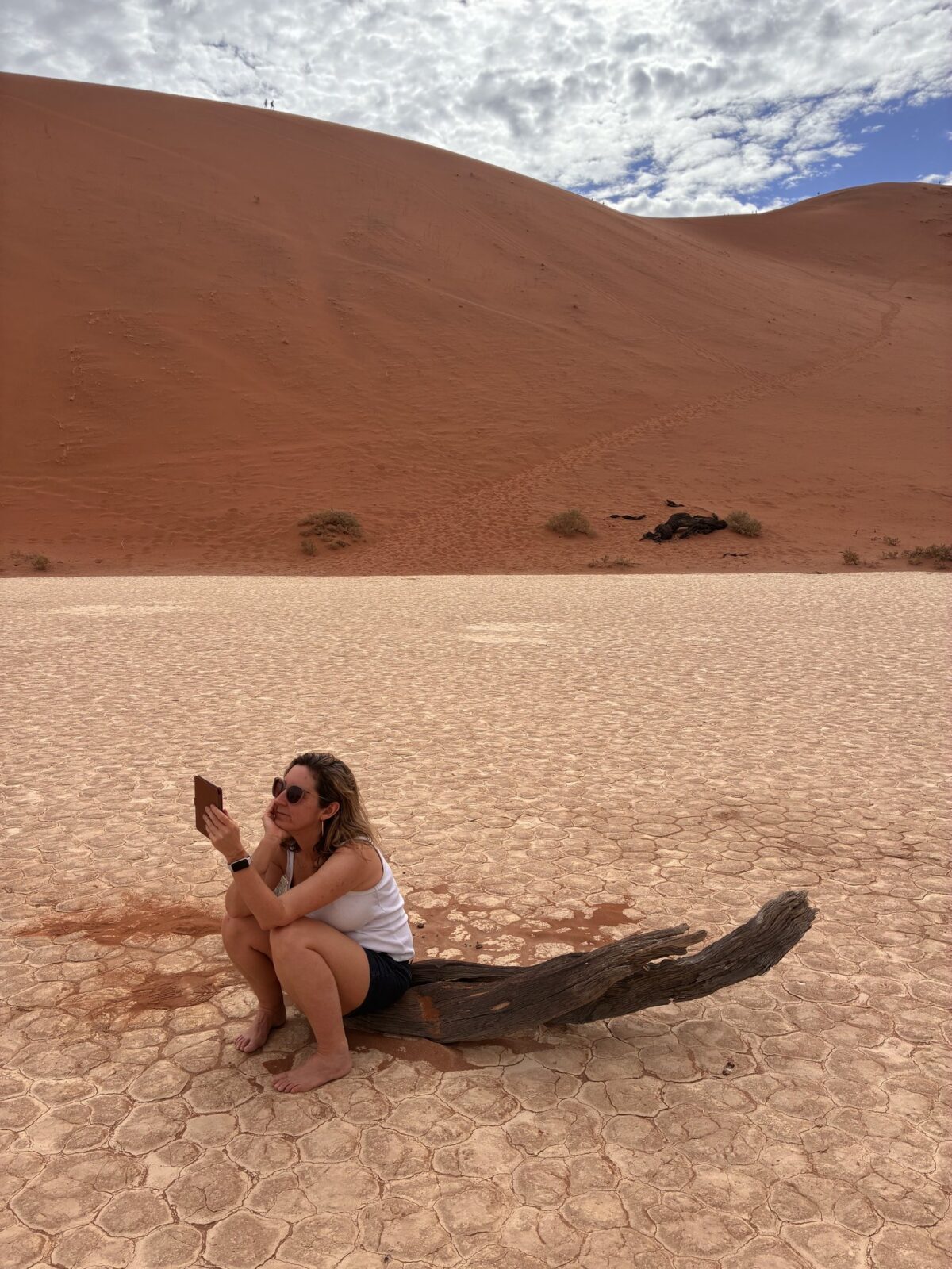 THE TEN YEAR AFFAIR by Erin Somers